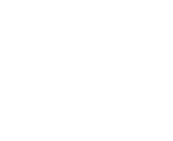 Panamerican University